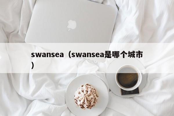 swansea（swansea是哪个城市）